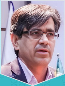 حسن دانایی فرد